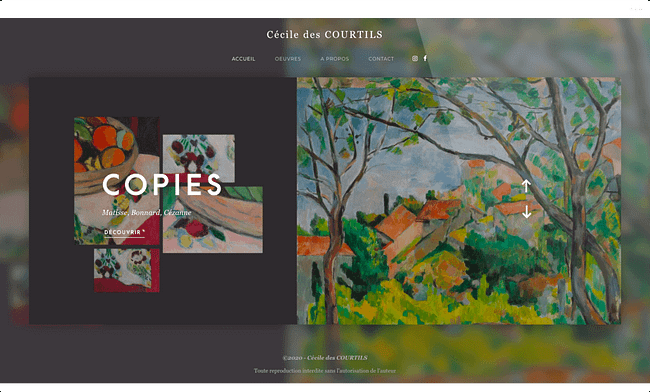 yoann-sirvin-yozz-2018-cecile-des-courtils